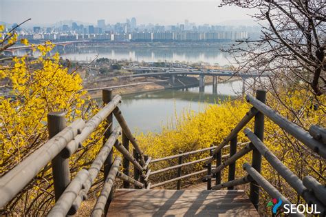  Eungbongsan Mountain Landscape: En Kontemplation Över Naturens Kraft och Människans Ringa Existens