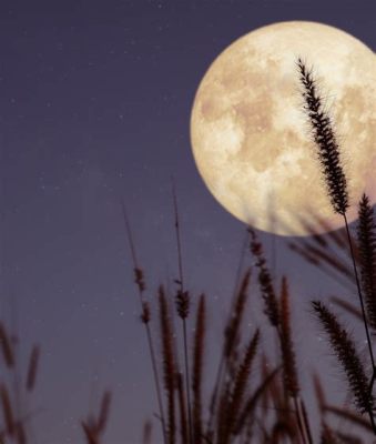 Månen i den Stillastående Natt- En Översvärmning av Stilla Skönhet och Mystik!